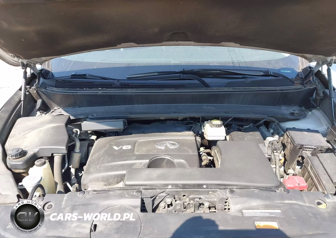 2019 Infiniti Qx60 Pure VIN:5N1DL0MMXKC520578 - 10