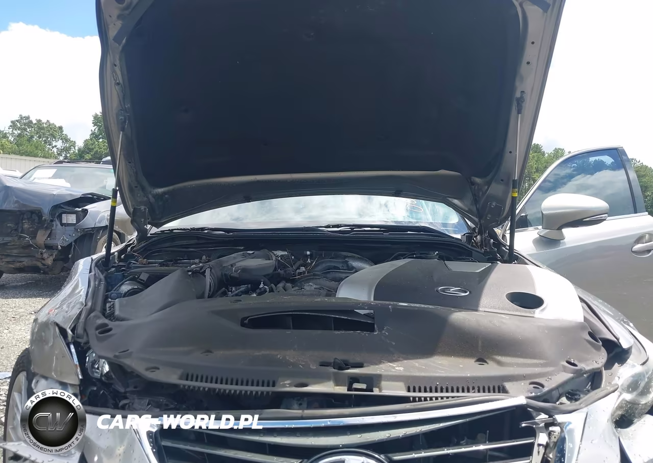 2016 Lexus Is 300 VIN:JTHCM1D25G5009761 - 10