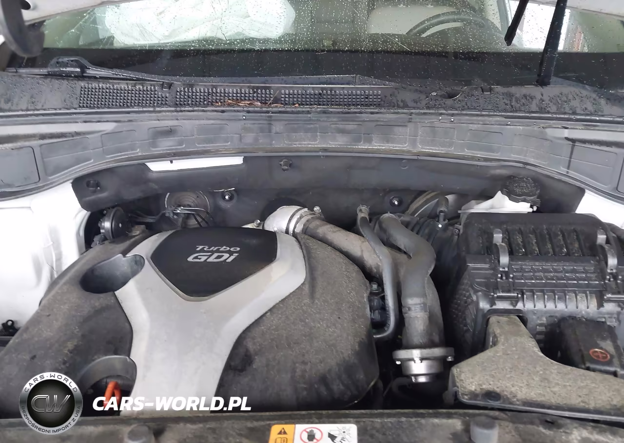 2014 Hyundai Santa Fe Sport 2.0L Turbo VIN:5XYZU3LA0EG189963 - 10