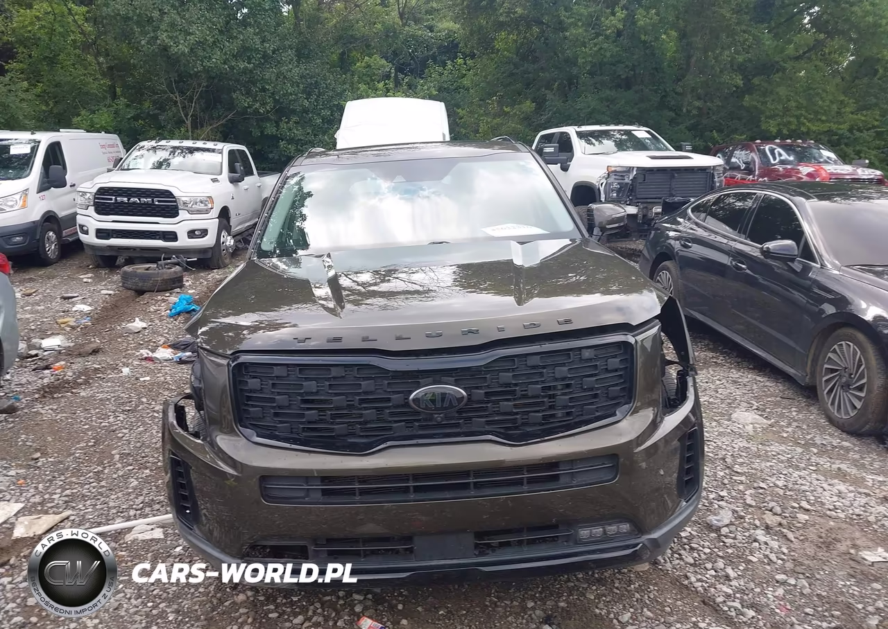 2021 Kia Telluride Sx VIN:5XYP5DHC6MG126711 - 12