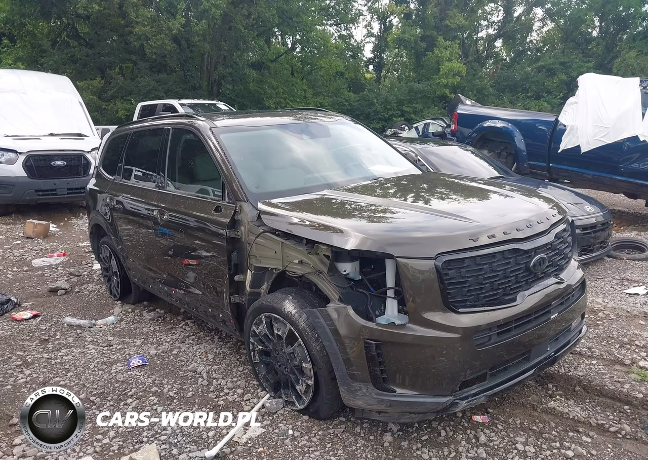 2021 Kia Telluride Sx VIN:5XYP5DHC6MG126711 - 13