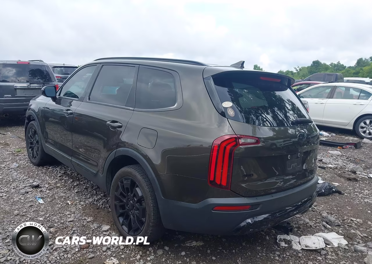 2021 Kia Telluride Sx VIN:5XYP5DHC6MG126711 - 14