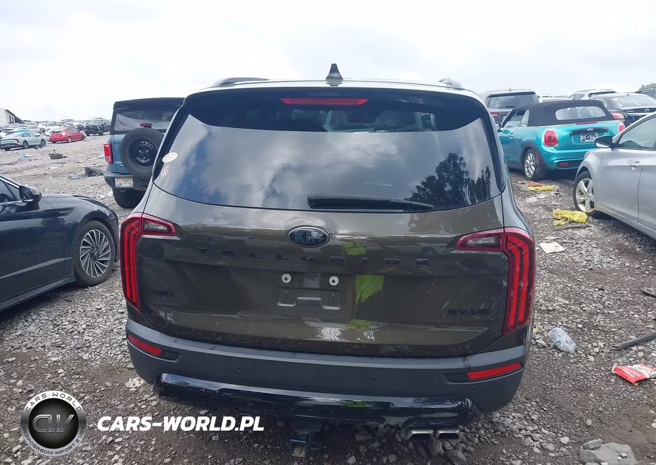 2021 Kia Telluride Sx VIN:5XYP5DHC6MG126711 - 16