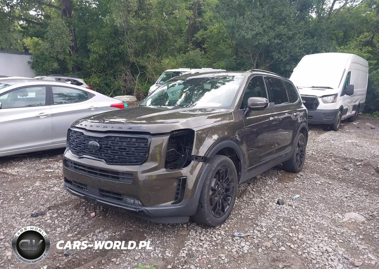 2021 Kia Telluride Sx VIN:5XYP5DHC6MG126711 - 2