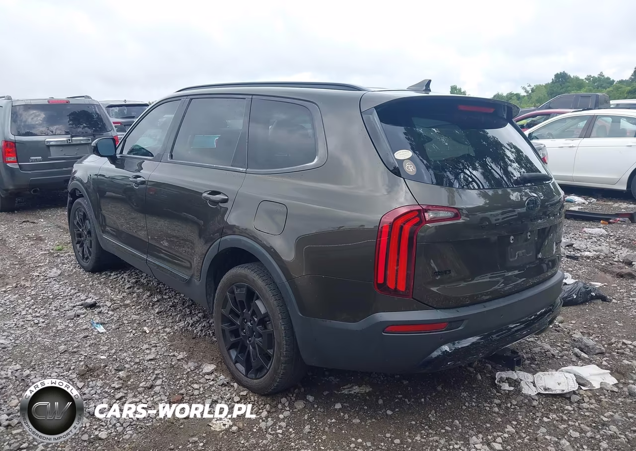 2021 Kia Telluride Sx VIN:5XYP5DHC6MG126711 - 3