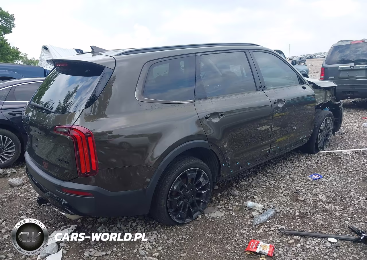 2021 Kia Telluride Sx VIN:5XYP5DHC6MG126711 - 4