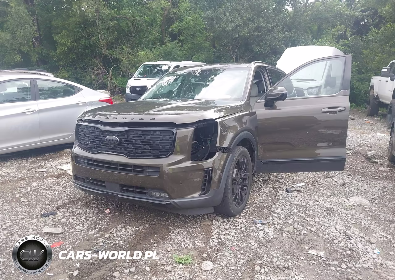 2021 Kia Telluride Sx VIN:5XYP5DHC6MG126711 - 6