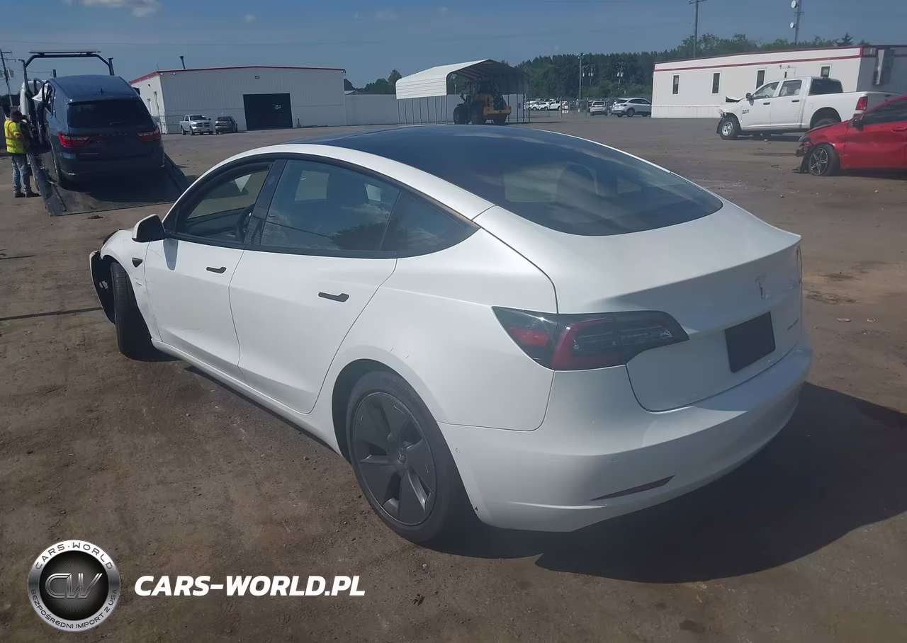 2021 Tesla Model 3 Long Range Dual Motor All-Wheel Drive VIN:5YJ3E1EB8MF902014 - 3