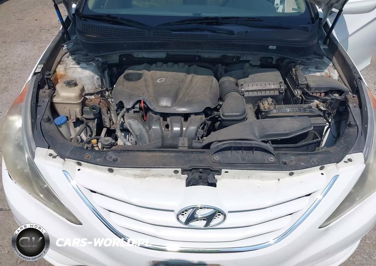 2011 Hyundai Sonata Gls VIN:5NPEB4AC4BH169444 - 10