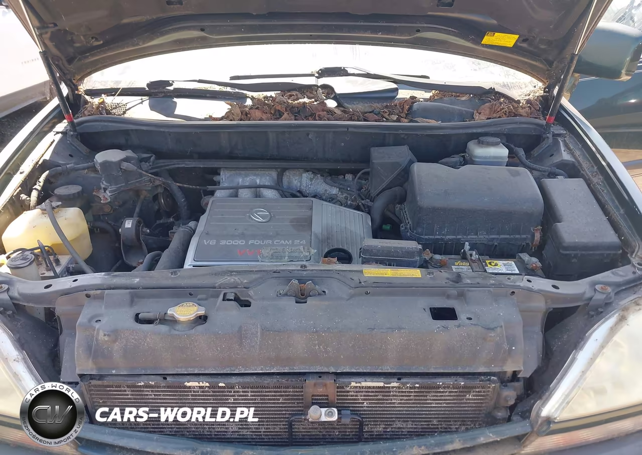 2001 Lexus Rx 300 VIN:JTJHF10U110181358 - 10