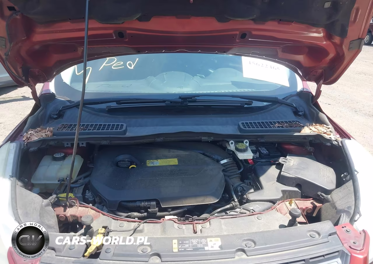 2014 Ford Escape Se VIN:1FMCU9GX0EUC96920 - 10