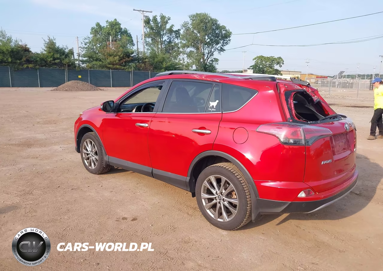 2017 Toyota Rav4 Limited VIN:2T3DFREV5HW621492 - 3