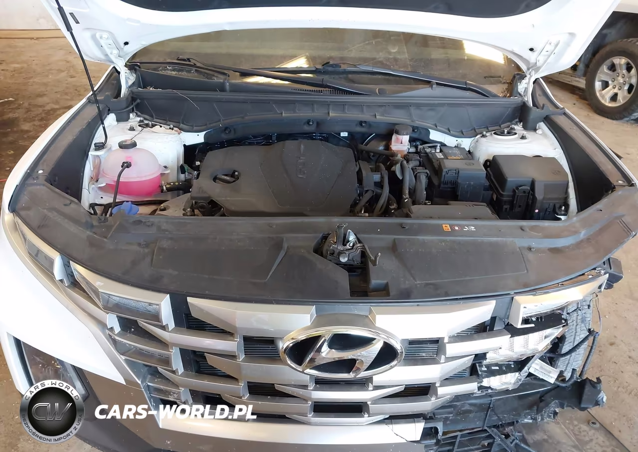 2024 Hyundai Santa Cruz Sel VIN:5NTJC4DE2RH114656 - 10