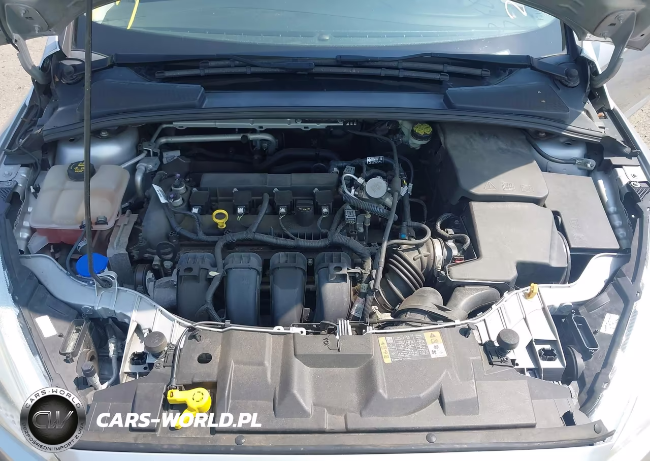 2016 Ford Focus Se VIN:1FADP3F2XGL397464 - 10