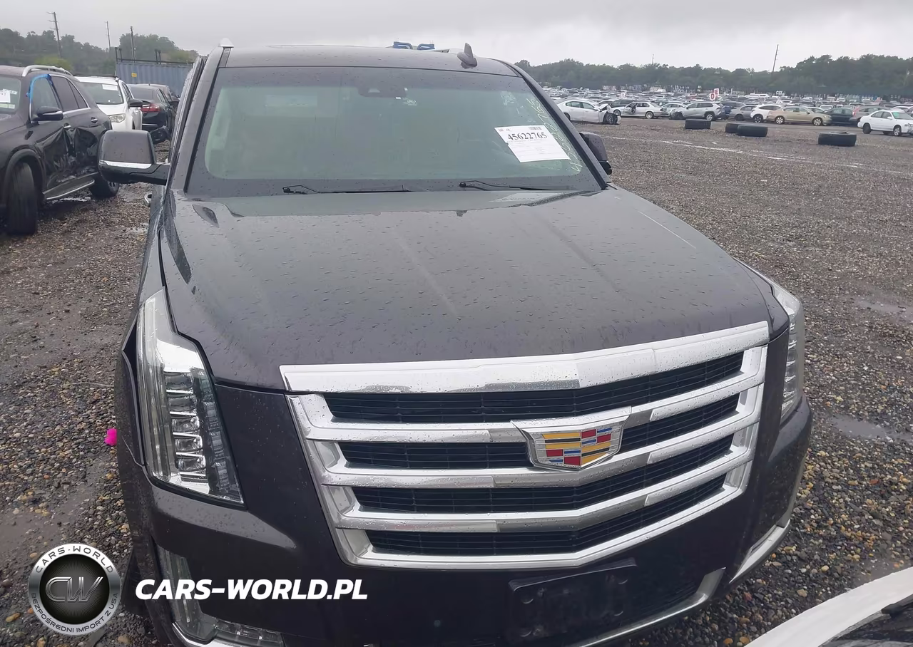 2018 Cadillac Escalade Esv Luxury VIN:1GYS4HKJ3JR164089 - 12