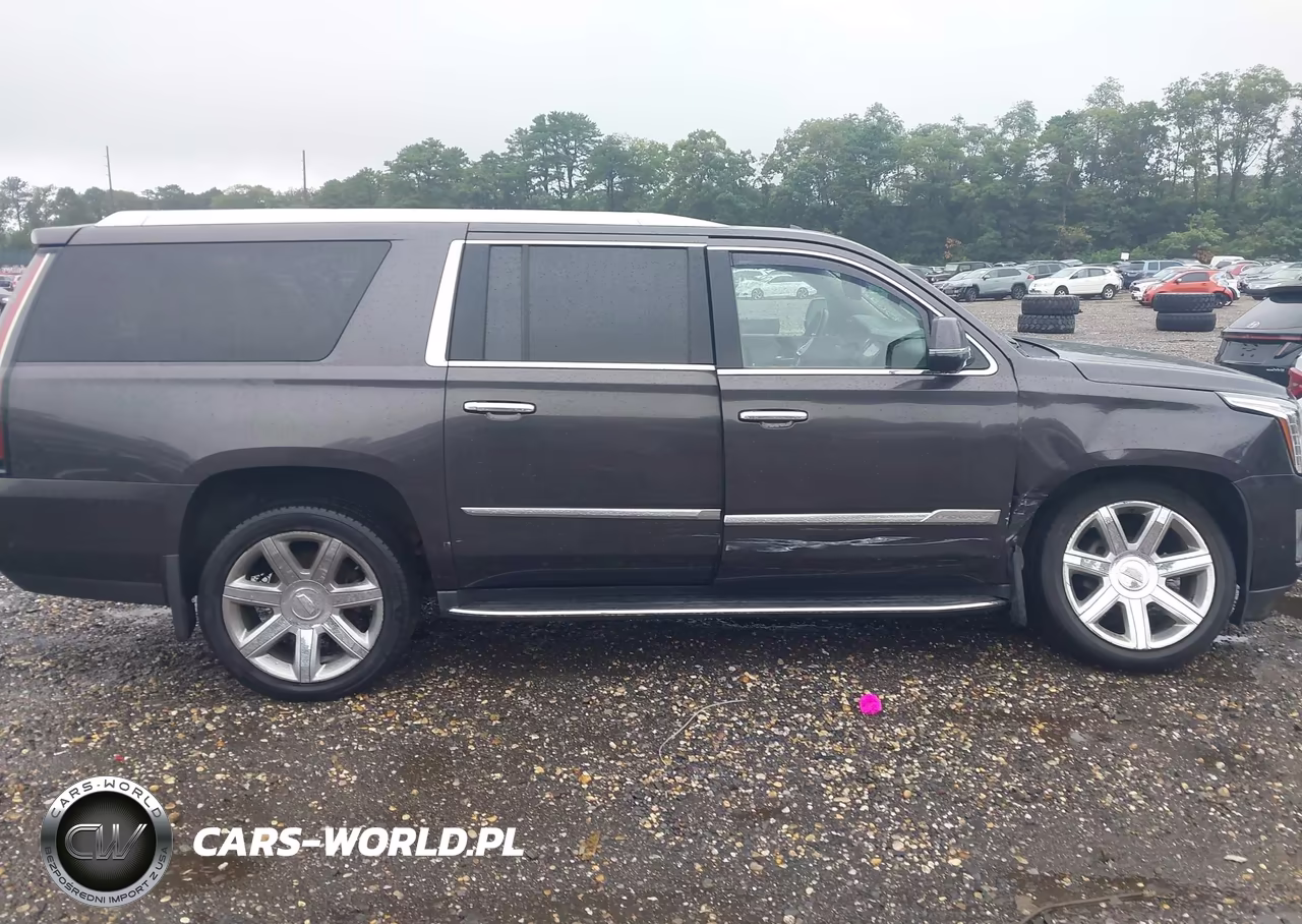 2018 Cadillac Escalade Esv Luxury VIN:1GYS4HKJ3JR164089 - 13