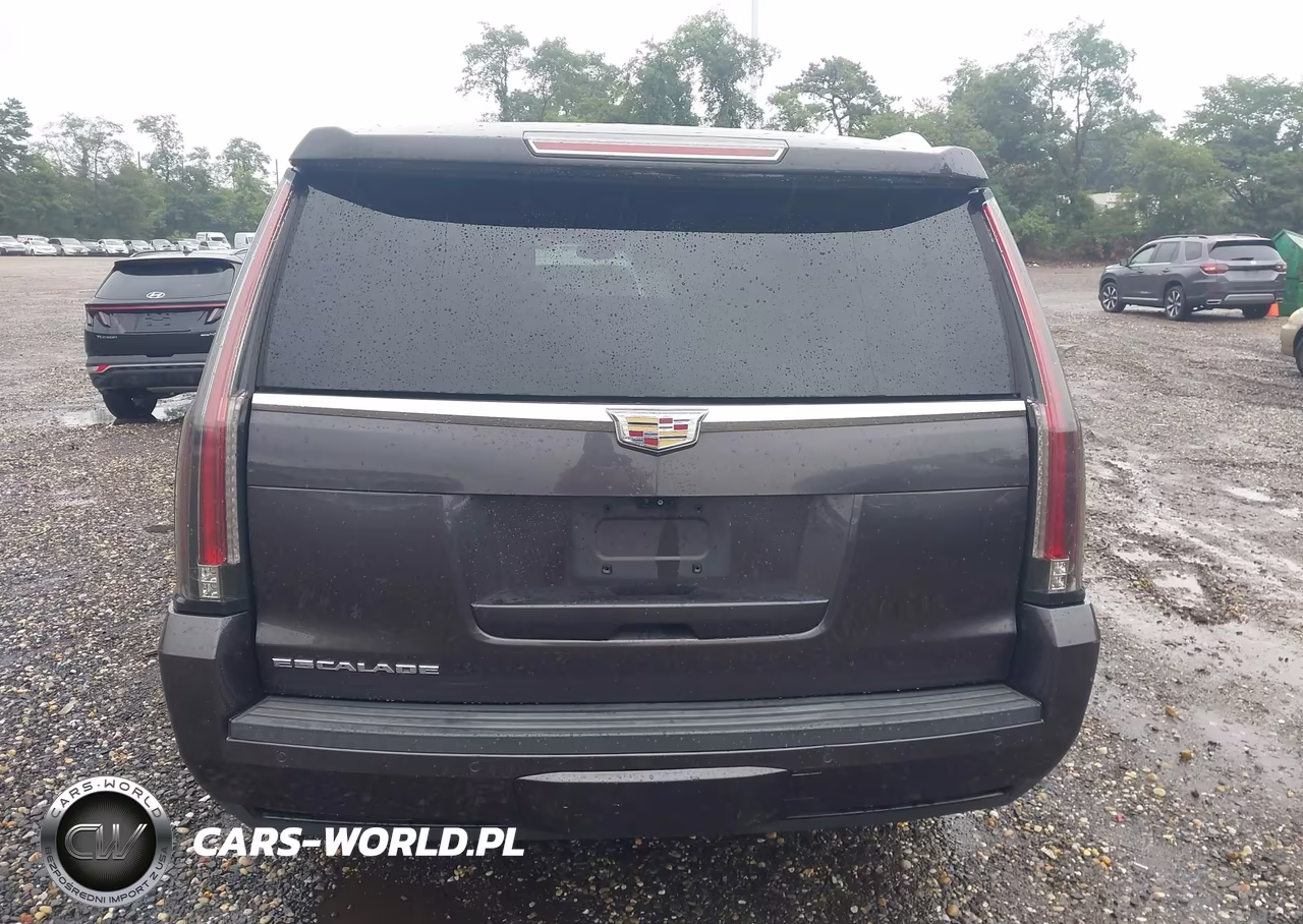 2018 Cadillac Escalade Esv Luxury VIN:1GYS4HKJ3JR164089 - 16