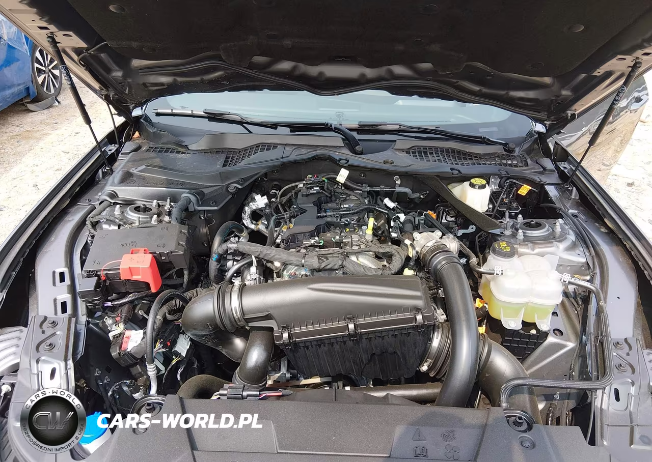 2026 Ford Mustang Ecoboost Premium Fastback VIN:1FA6P8TH7T5116282 - 10