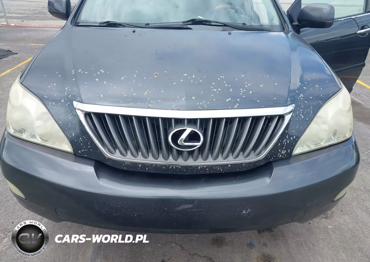 2009 Lexus Rx 350 VIN:2T2GK31U39C063670 - 6