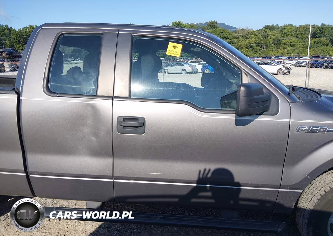 2014 Ford F-150 Stx-Xl-Xlt VIN:1FTEX1CM8EKF42691 - 13