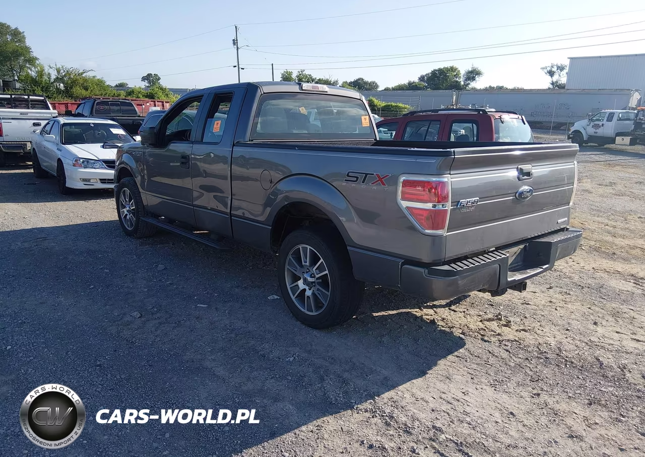 2014 Ford F-150 Stx-Xl-Xlt VIN:1FTEX1CM8EKF42691 - 3