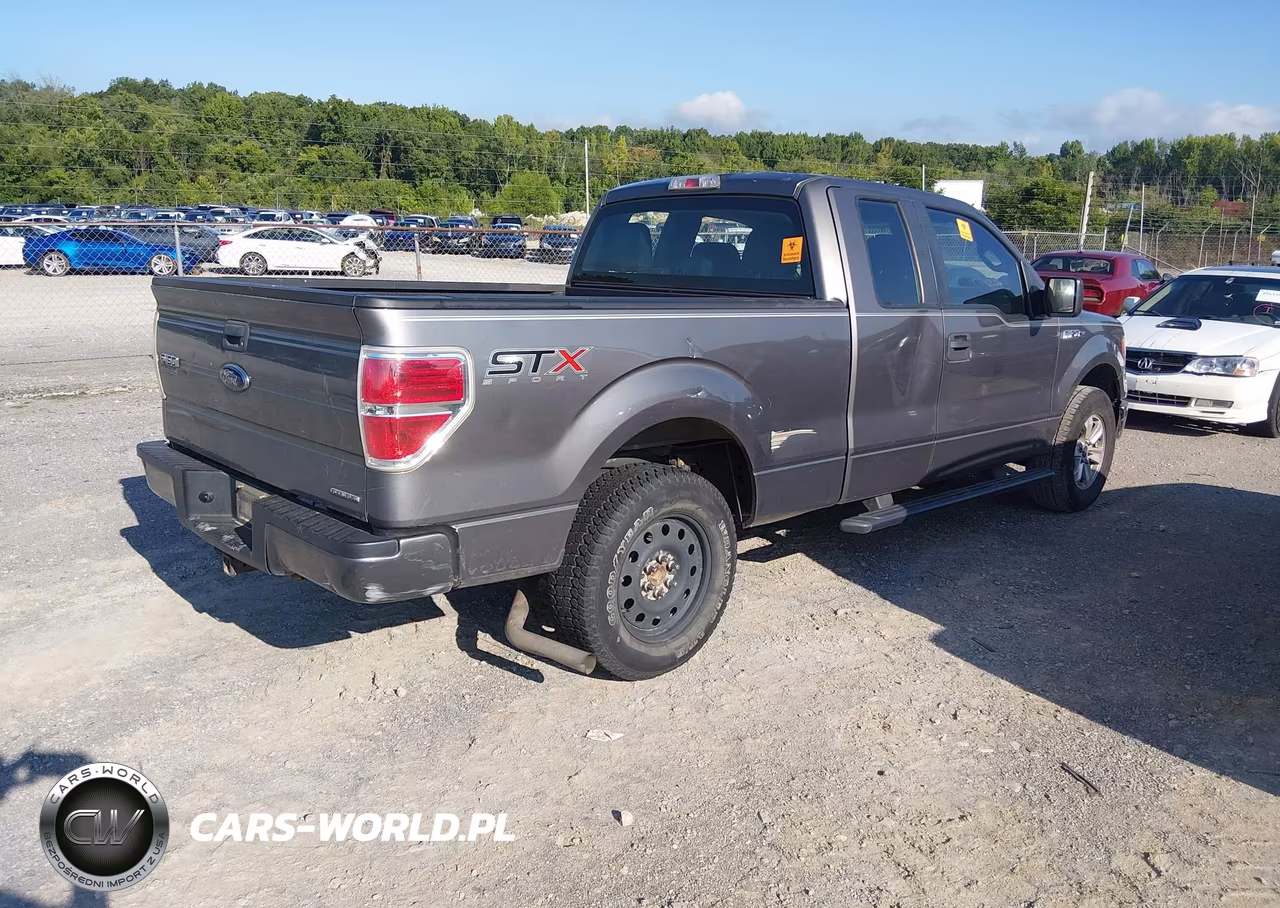 2014 Ford F-150 Stx-Xl-Xlt VIN:1FTEX1CM8EKF42691 - 4