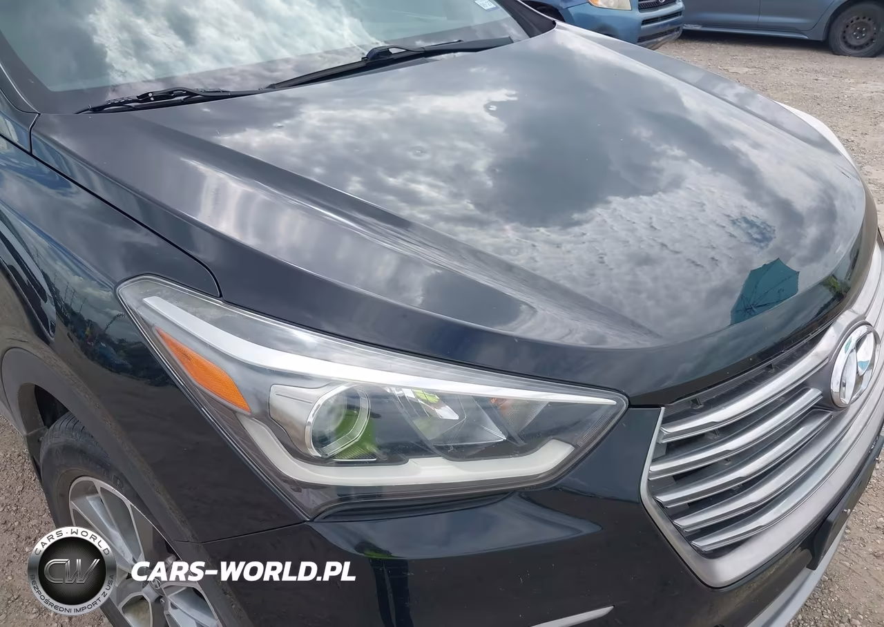2017 Hyundai Santa Fe Se VIN:KM8SM4HF8HU234951 - 6