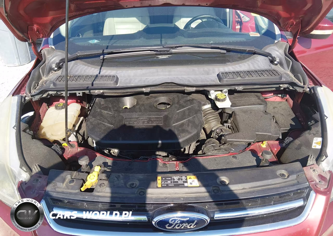 2014 Ford Escape Titanium VIN:1FMCU0J99EUB98183 - 10