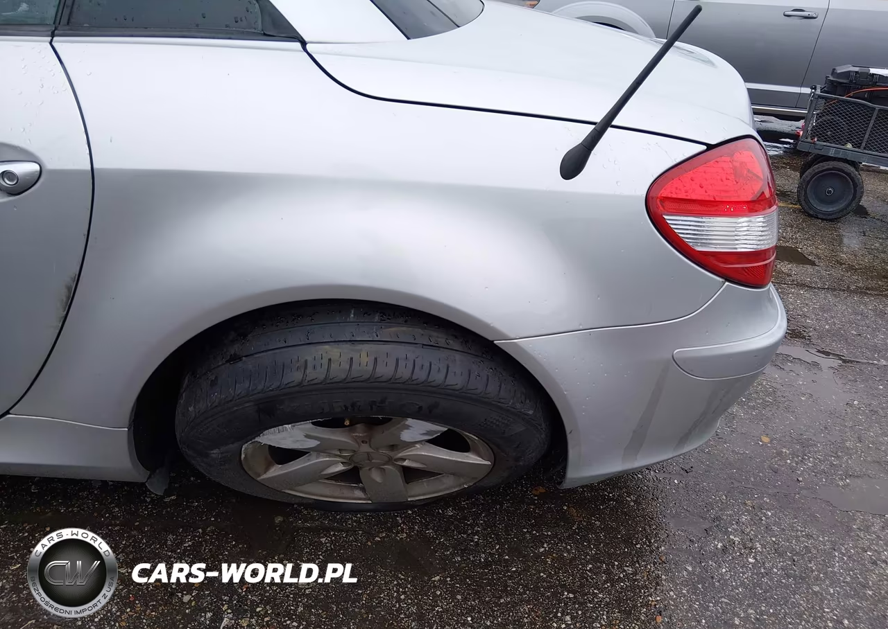 2006 Mercedes-Benz Slk 280 VIN:WDBWK54F96F124031 - 6