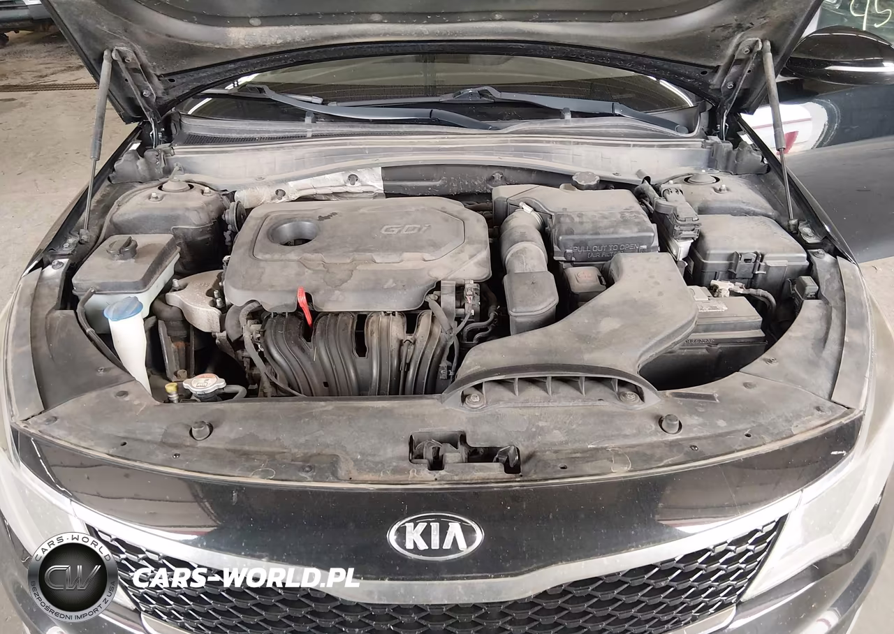 2016 Kia Optima Lx VIN:5XXGT4L39GG003524 - 10