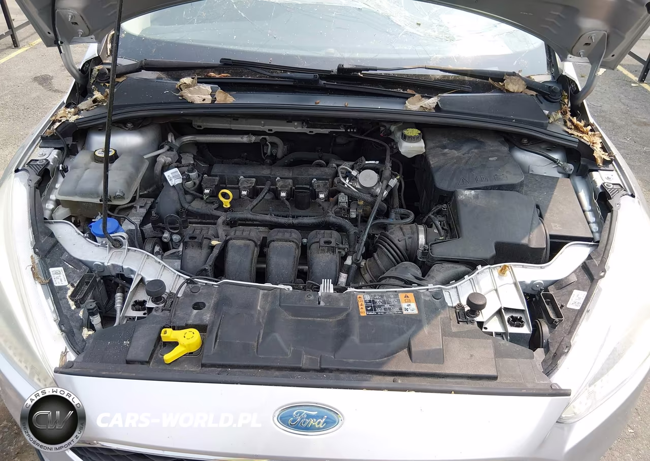 2017 Ford Focus S VIN:1FADP3E26HL324577 - 10