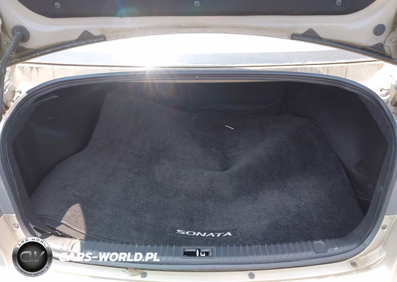 2009 Hyundai Sonata Limited VIN:5NPEU46C89H432693 - 12
