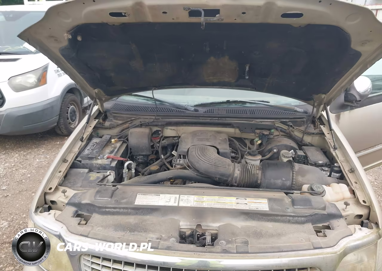 1999 Ford Expedition Eddie Bauer-Xlt VIN:1FMRU1765XLA52062 - 10
