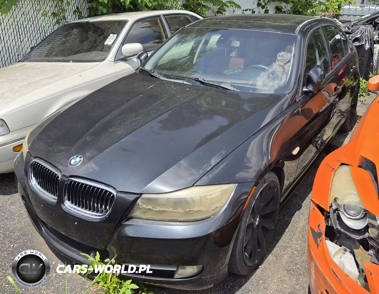2009 BMW 335I VIN:WBAPM77519NL86602 - 2