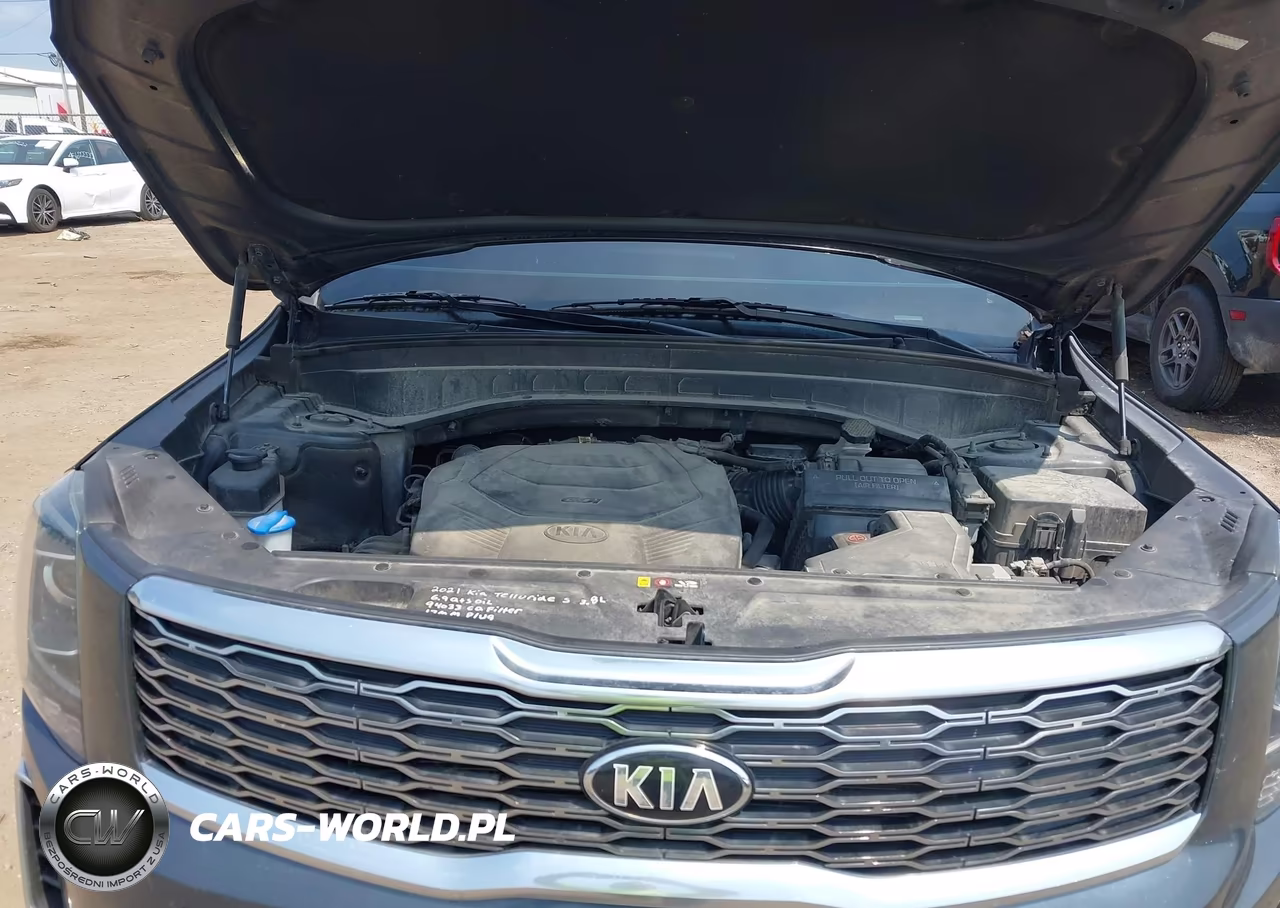 2021 Kia Telluride S VIN:5XYP64HCXMG136381 - 10