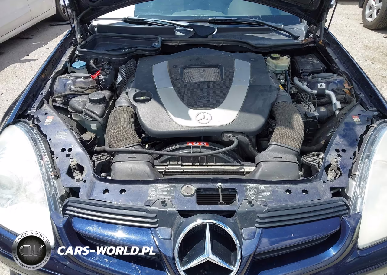 2006 Mercedes-Benz Slk 350 VIN:WDBWK56F06F095967 - 10