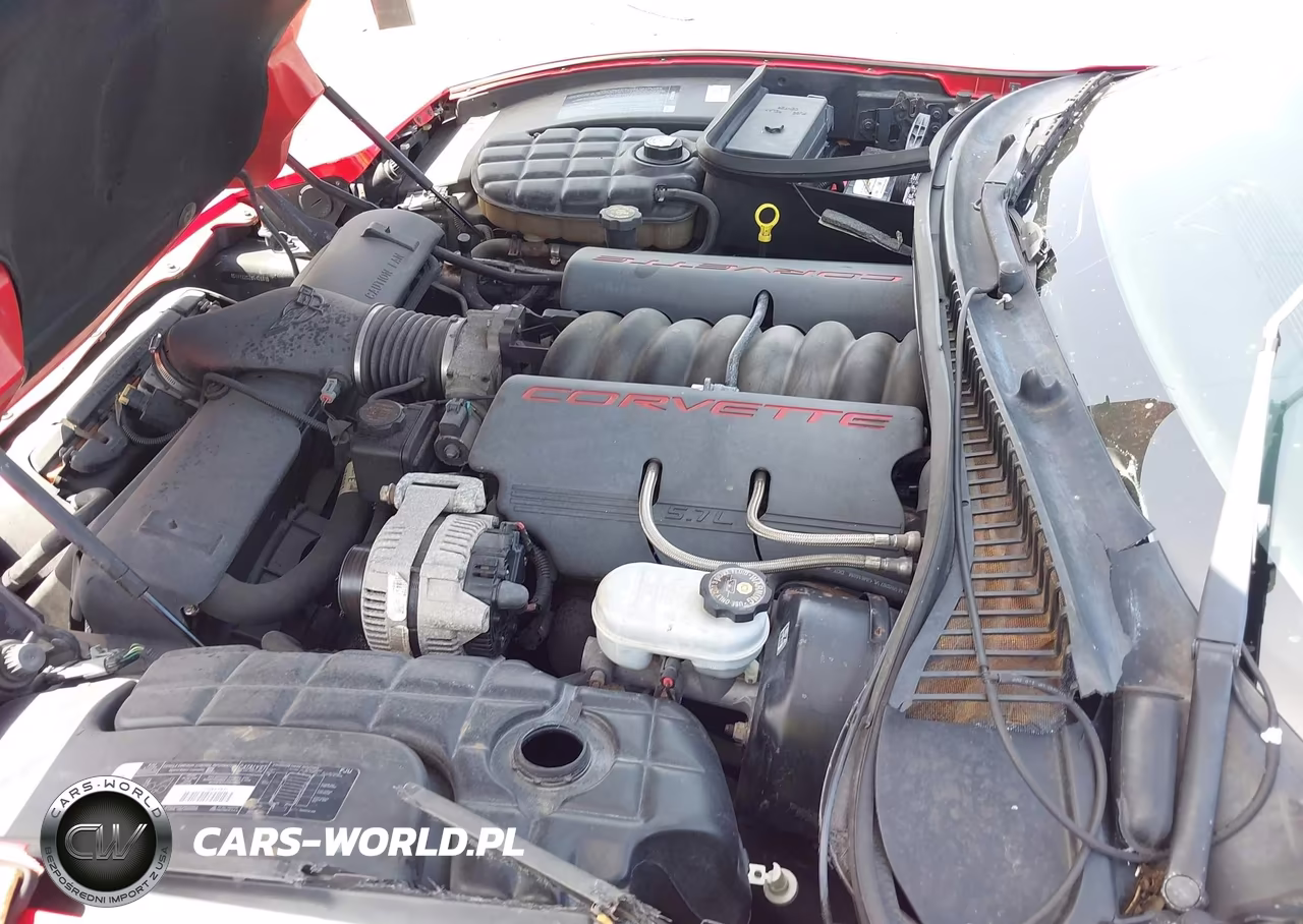 1998 Chevrolet Corvette VIN:1G1YY22G2W5108416 - 10
