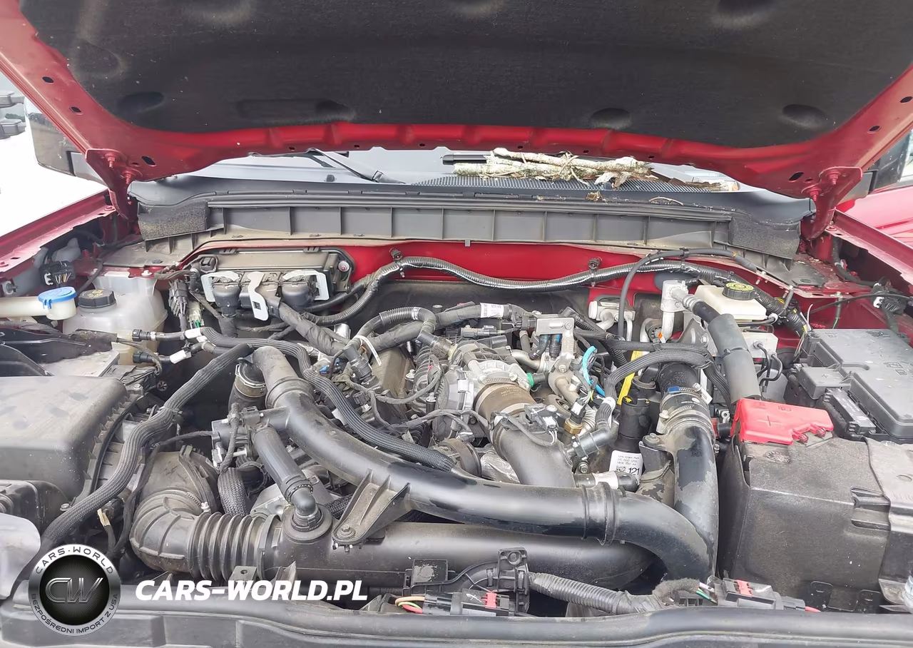 2021 Ford Bronco Wildtrak VIN:1FMEE5DP0MLB01292 - 10