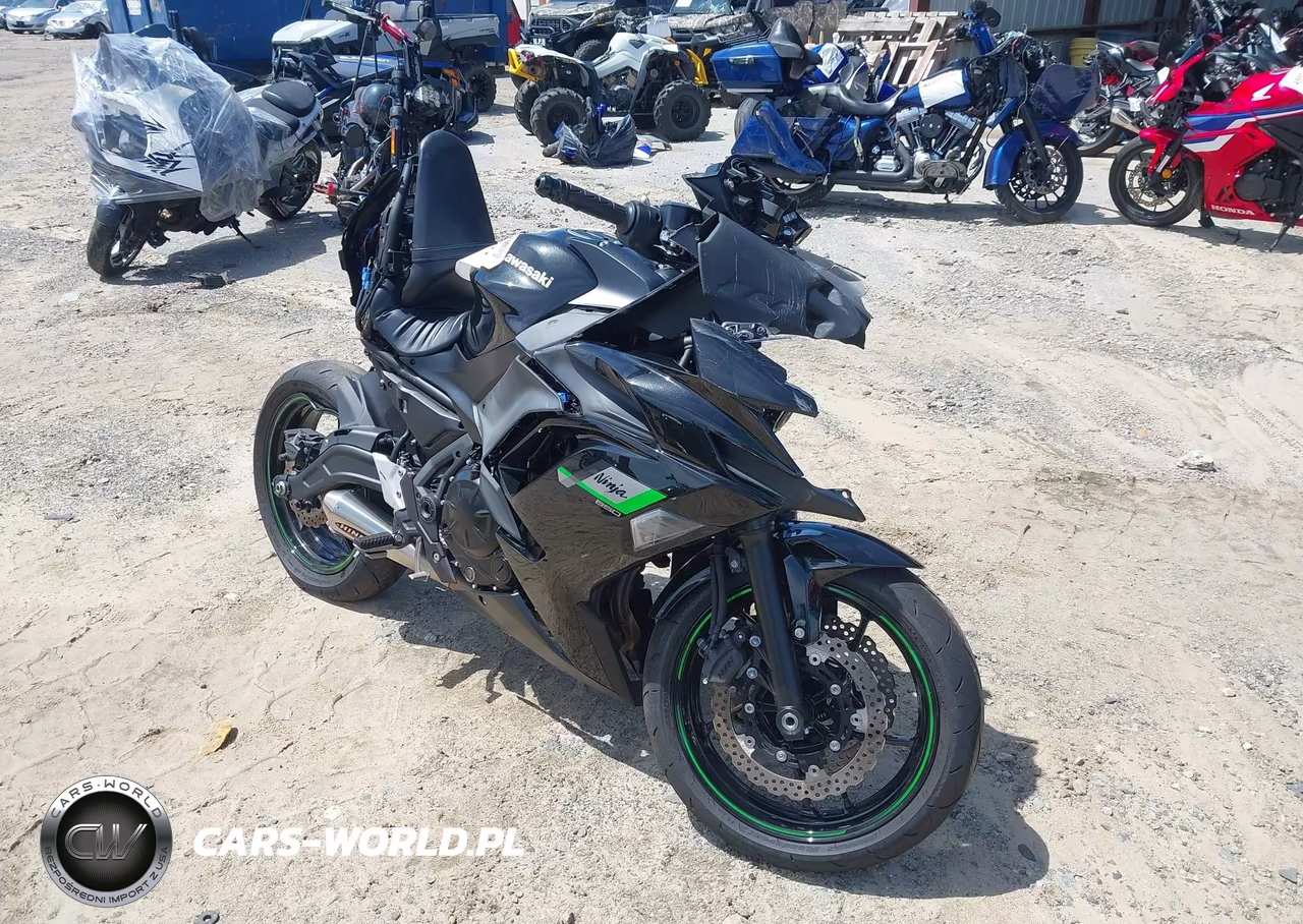 2025 Kawasaki Ex650 R – zdjęcie 1 z 18