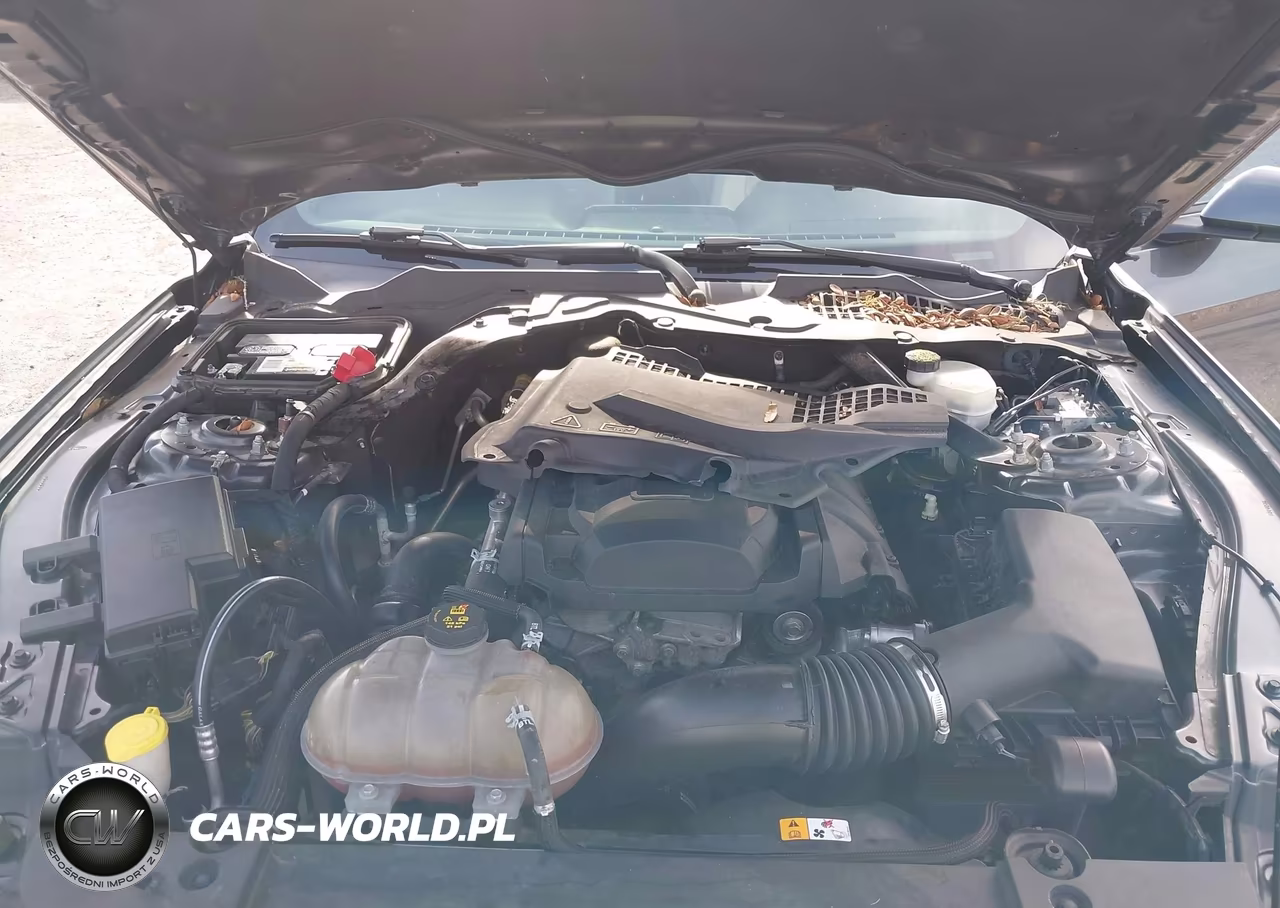 2017 Ford Mustang Ecoboost Premium VIN:1FATP8UH1H5324280 - 10
