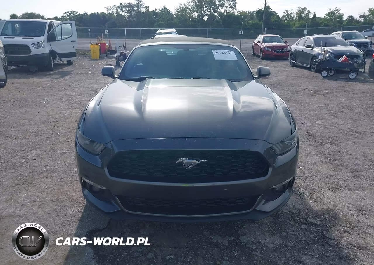 2017 Ford Mustang Ecoboost Premium VIN:1FATP8UH1H5324280 - 12