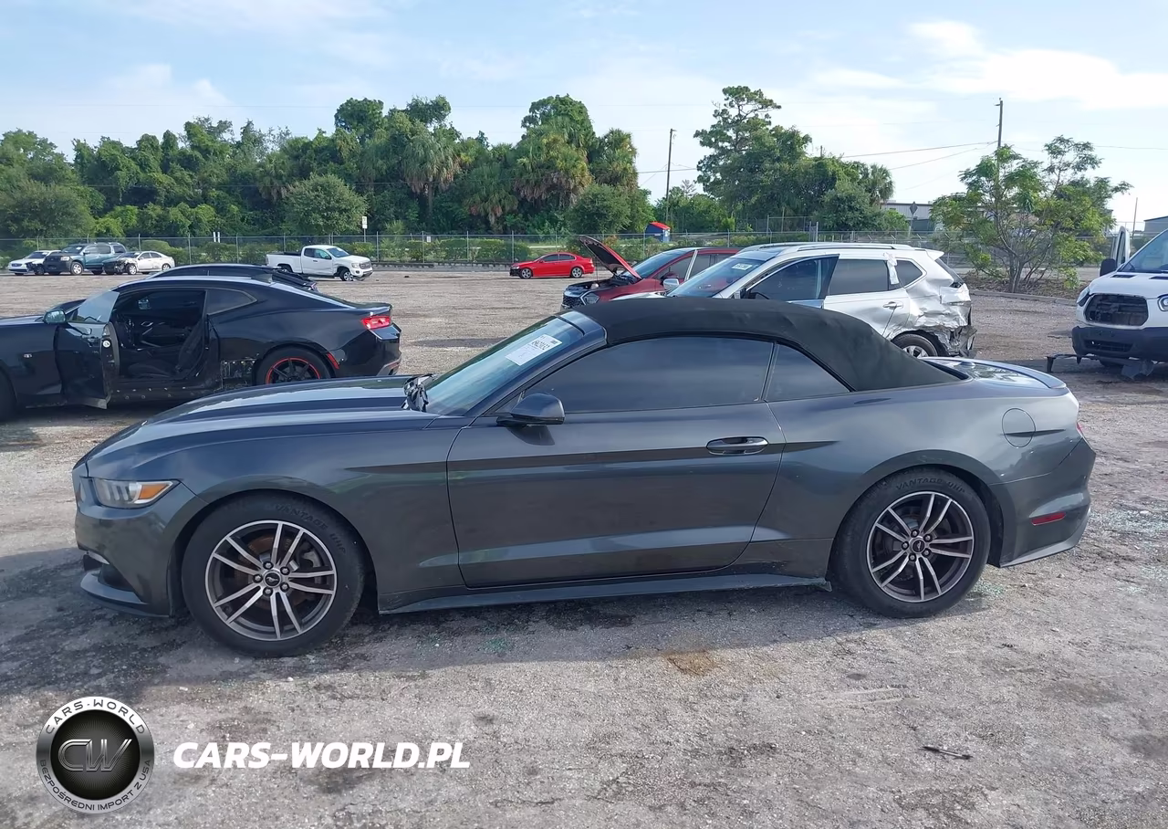 2017 Ford Mustang Ecoboost Premium VIN:1FATP8UH1H5324280 - 14