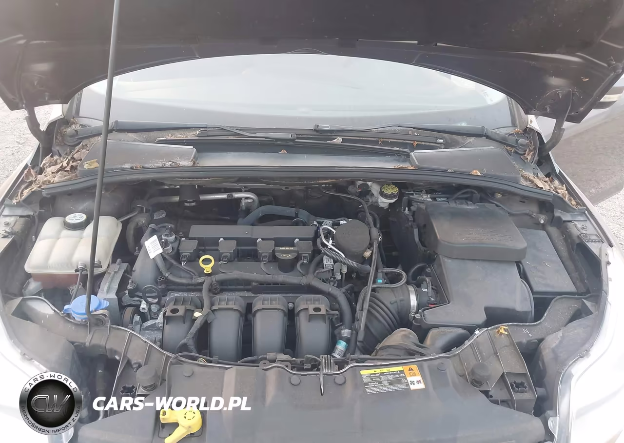 2012 Ford Focus Sel VIN:1FAHP3H20CL463142 - 10