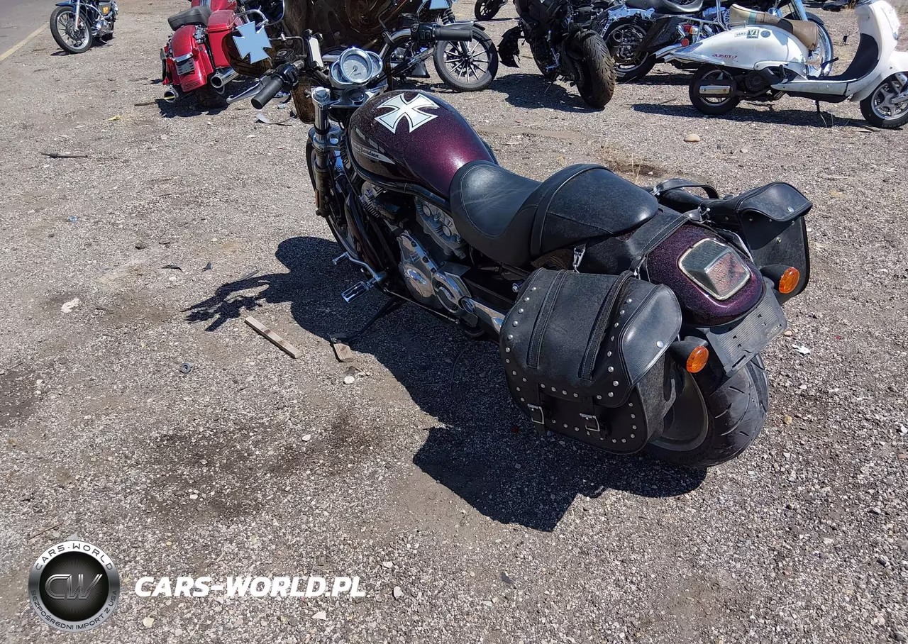 2005 Harley-Davidson Vrscb VIN:1HD1HBZ115K803110 - 3