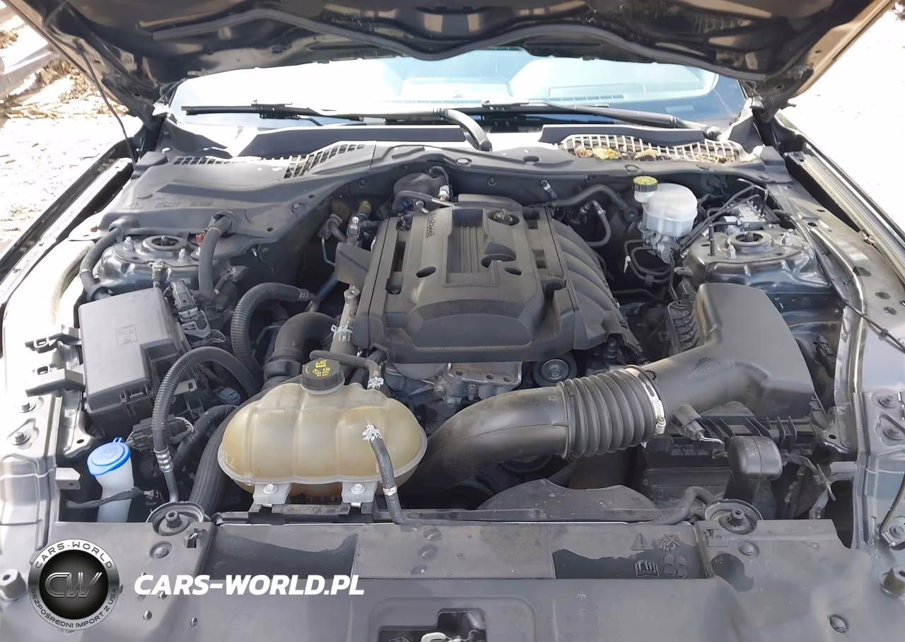 2020 Ford Mustang Ecoboost Fastback VIN:1FA6P8TH1L5182455 - 10