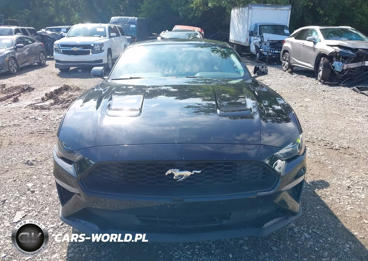 2020 Ford Mustang Ecoboost Fastback VIN:1FA6P8TH1L5182455 - 12