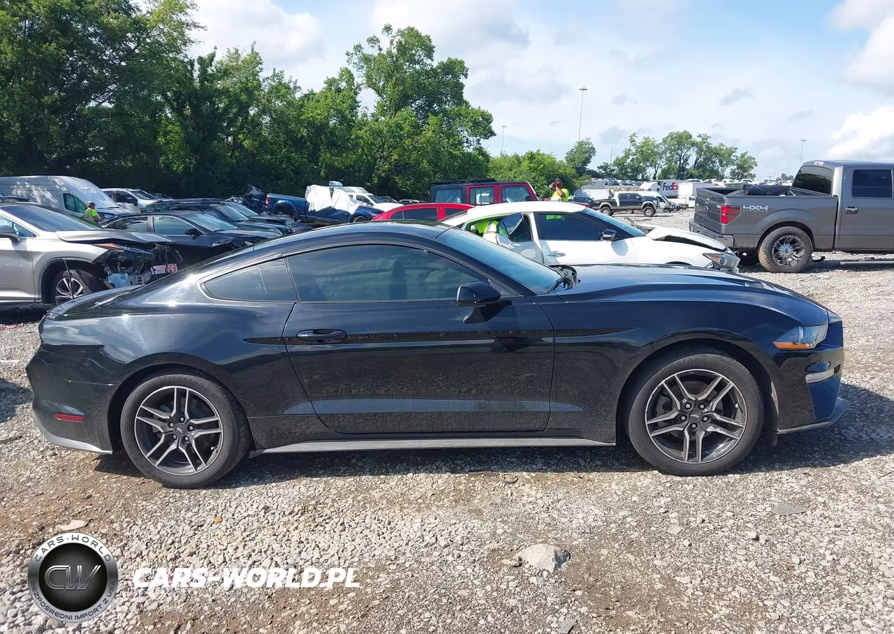2020 Ford Mustang Ecoboost Fastback VIN:1FA6P8TH1L5182455 - 13