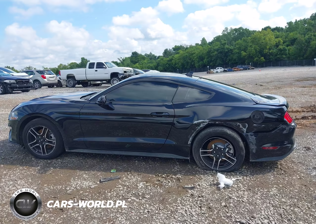 2020 Ford Mustang Ecoboost Fastback VIN:1FA6P8TH1L5182455 - 14