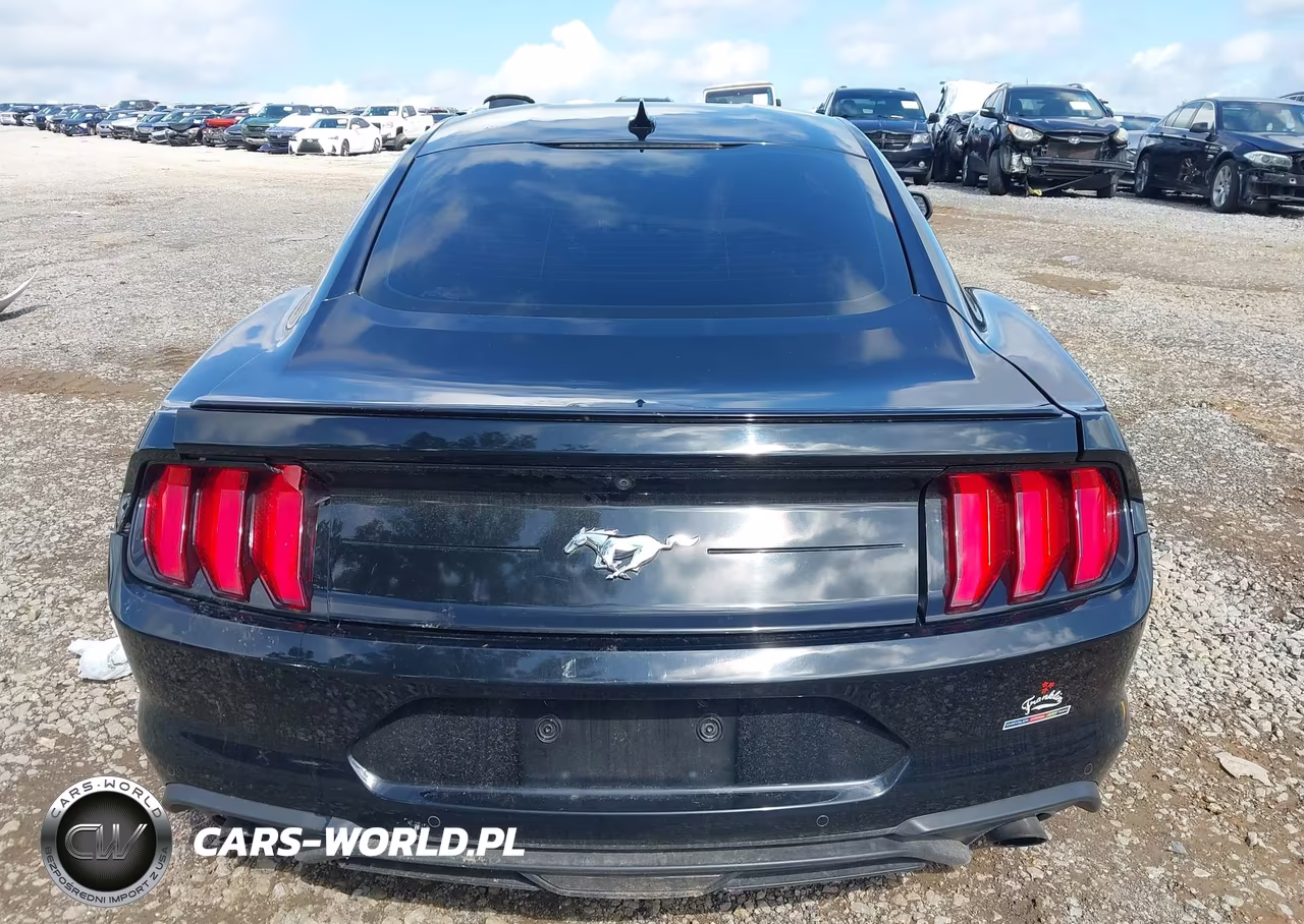 2020 Ford Mustang Ecoboost Fastback VIN:1FA6P8TH1L5182455 - 16