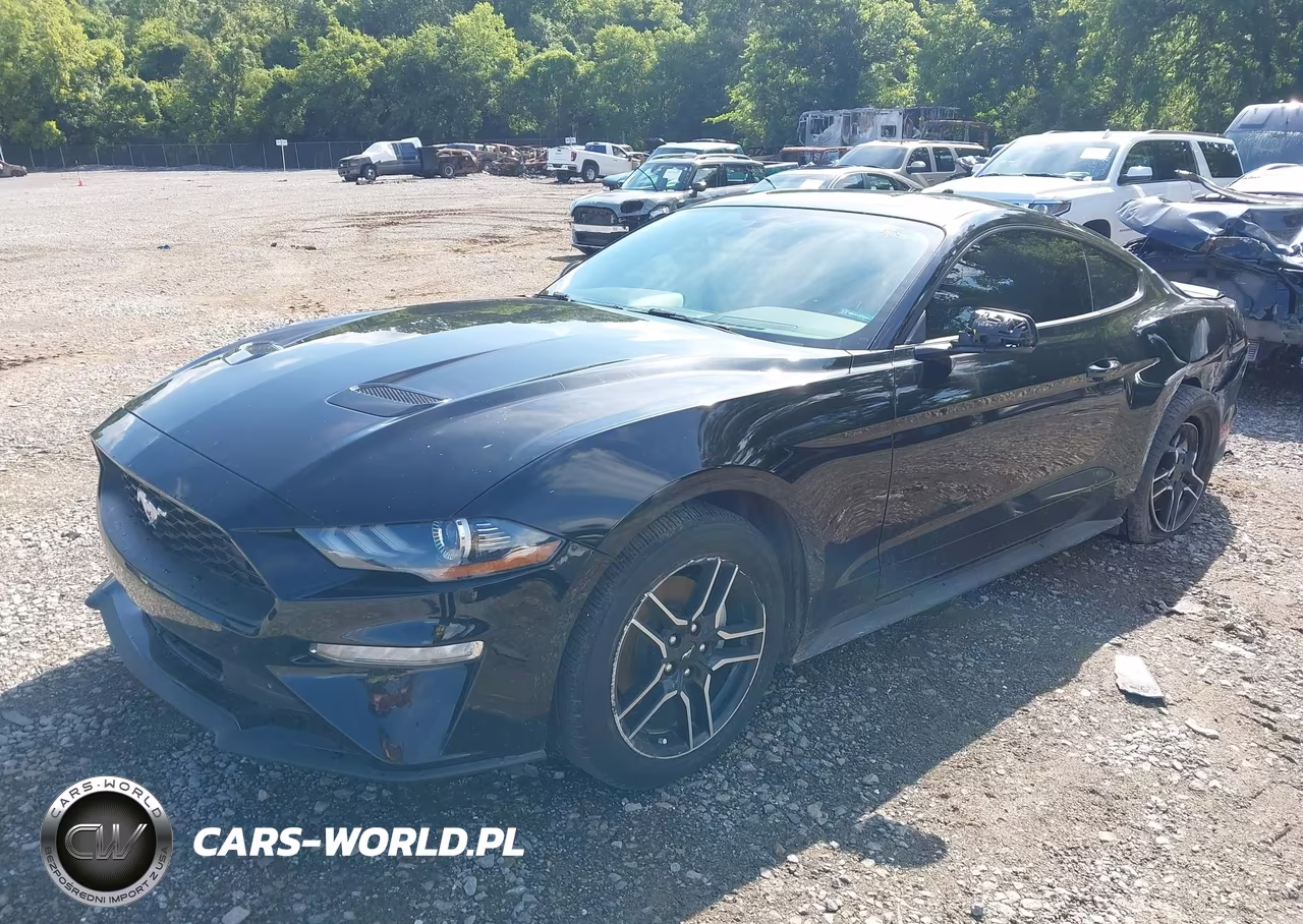 2020 Ford Mustang Ecoboost Fastback VIN:1FA6P8TH1L5182455 - 2